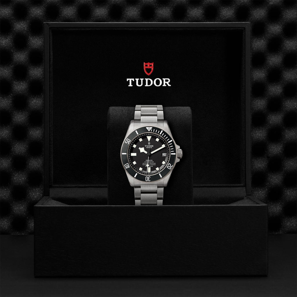 TUDOR Pelagos 42mm Titanium and steel M25600TN-0001